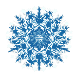 Estrella invierno