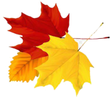 otoño-1